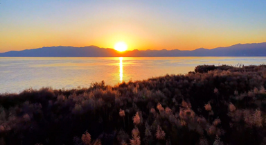 撫仙湖的冬天藏著一片橘子海