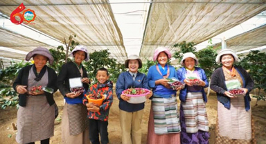 從機(jī)關(guān)干部,到高原車?yán)遄拥?quot;知心人"